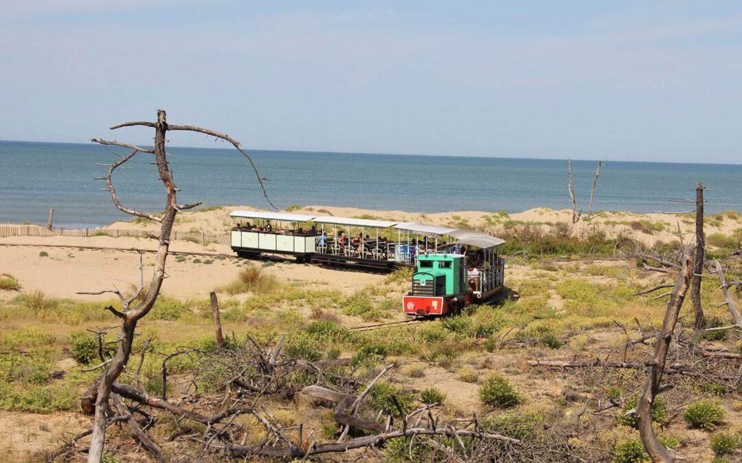 Le P&rsquo;tit Train de Saint-Trojan sur l&rsquo;île d&rsquo;Oléron